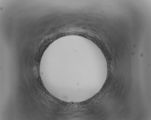 X0000079581493200612221417