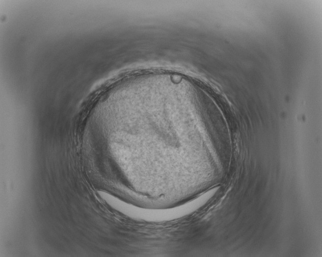 X0000079581494200612221417