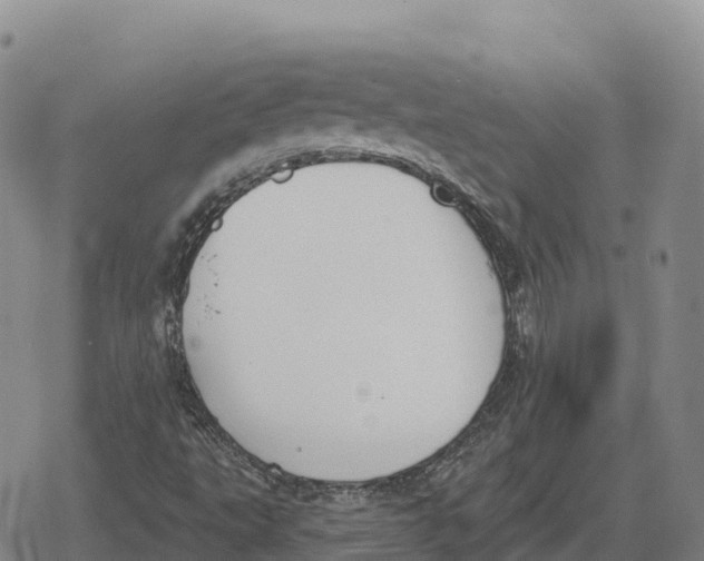 X0000079581495200612221417