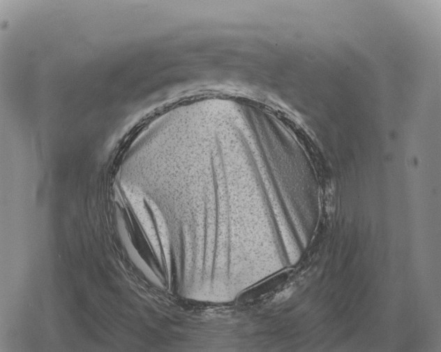 X0000079581496200612221417