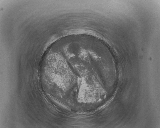 X0000079581497200612221417