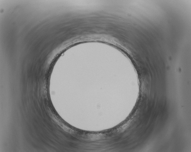 X0000079581498200612221417