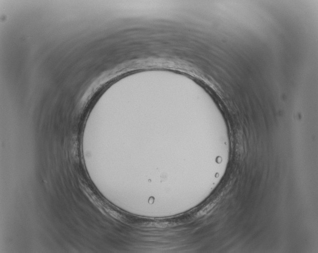 X0000079581499200612221417