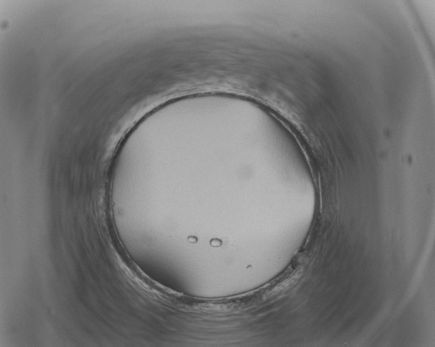 X0000079581500200612221417