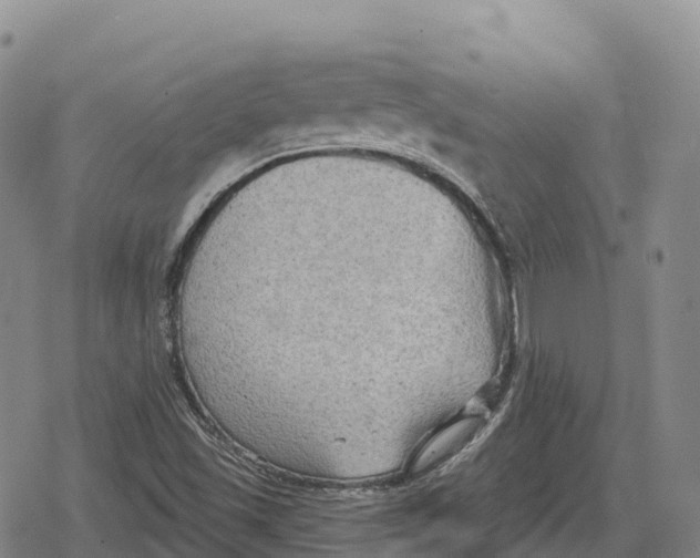 X0000079581501200612221417