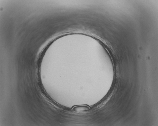 X0000079581502200612221417