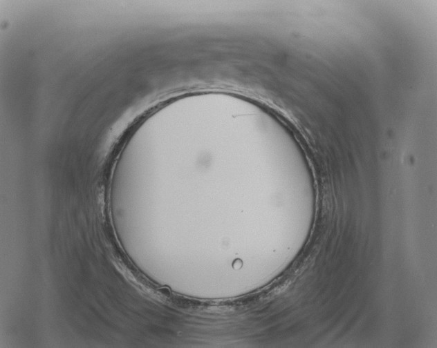 X0000079581503200612221417