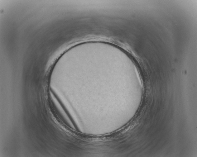 X0000079581504200612221417