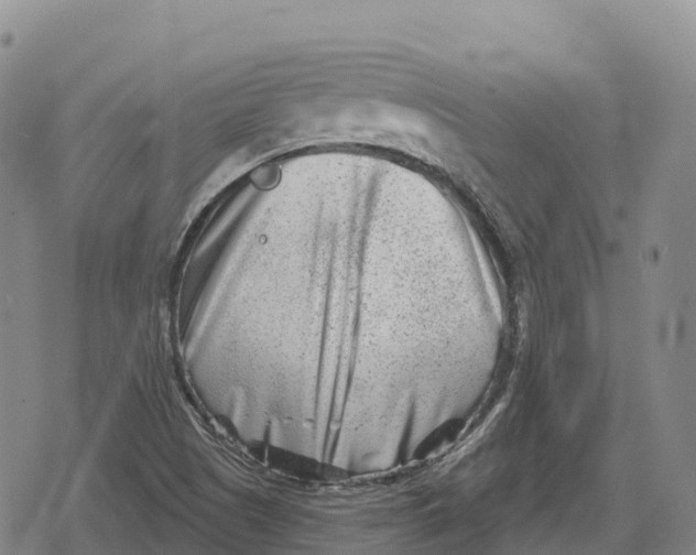 X0000079581505200612221417