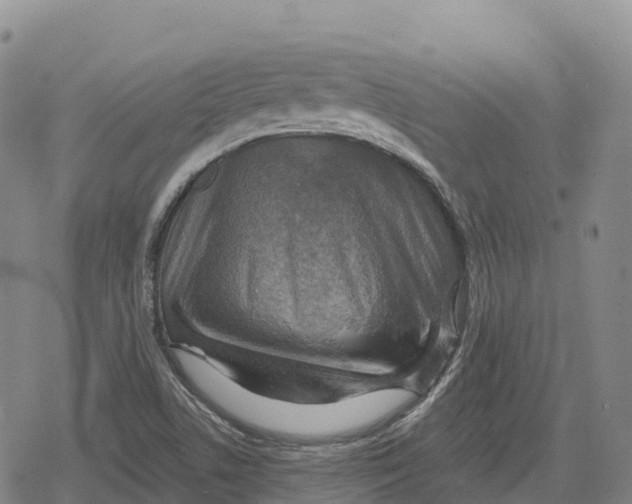 X0000079581506200612221417