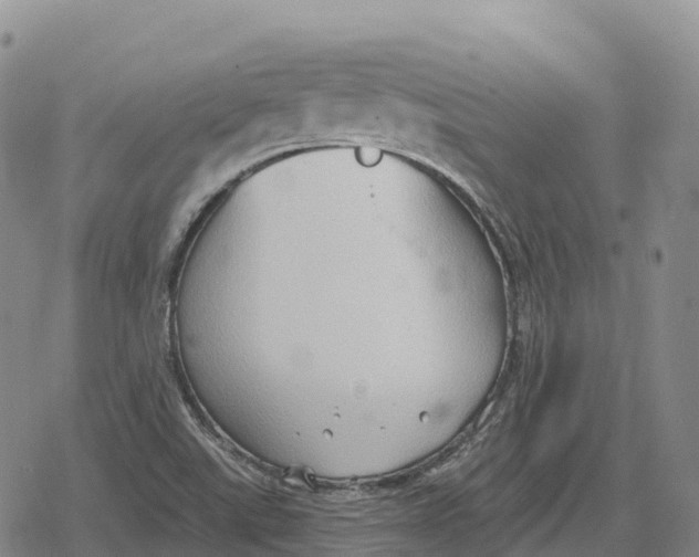 X0000079581507200612221417