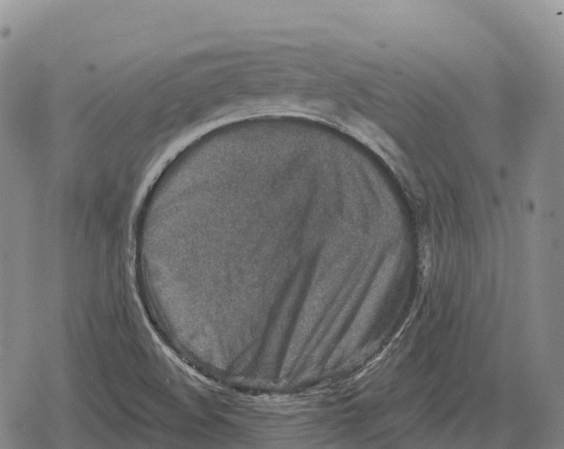 X0000079581508200612221417