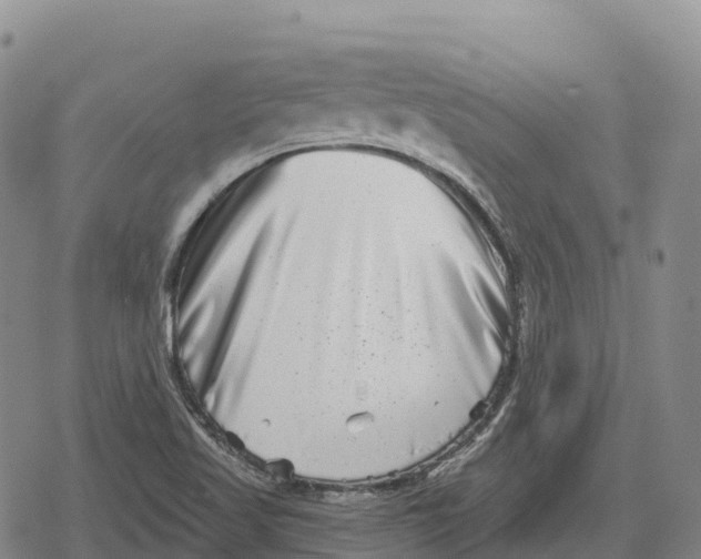 X0000079581509200612221417