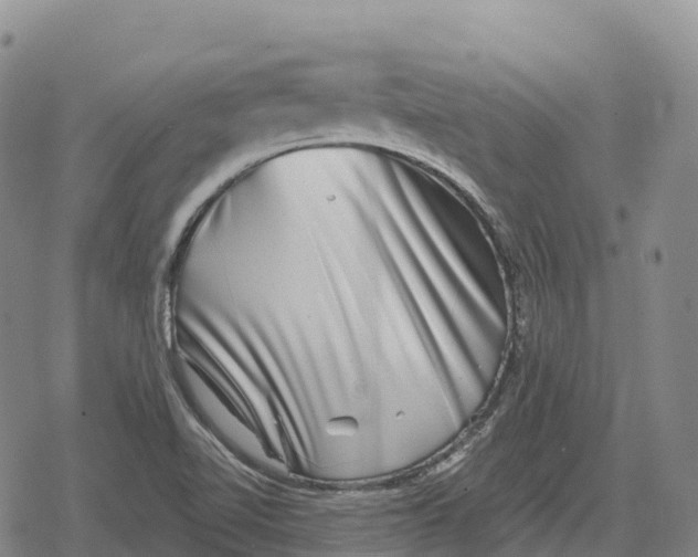 X0000079581510200612221417