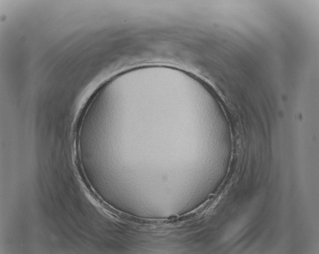 X0000079581511200612221417