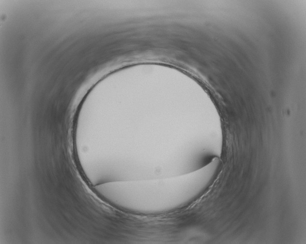 X0000079581512200612221417