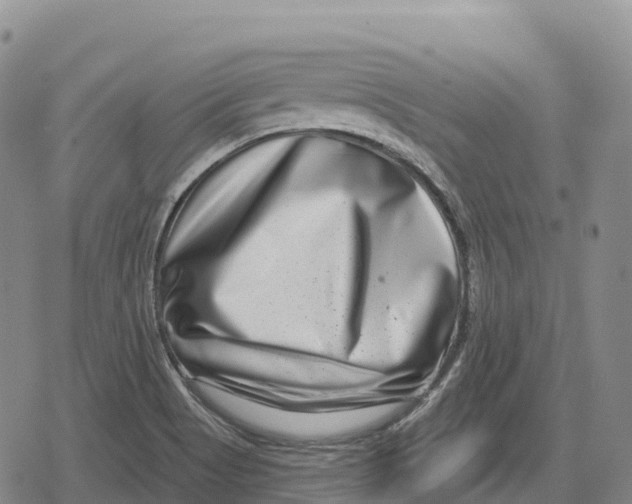 X0000079581513200612221417