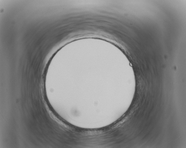 X0000079581518200612221418