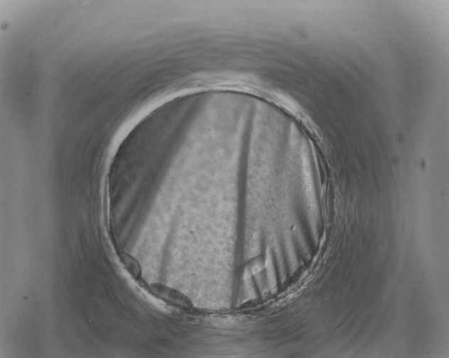 X0000079581520200612221418