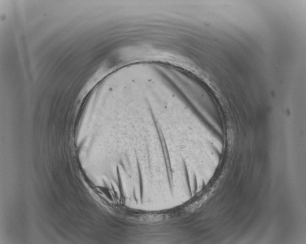 X0000079581521200612221418