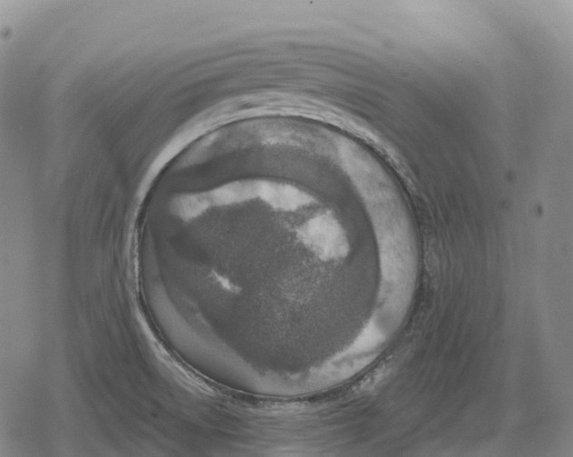 X0000079581522200612221418