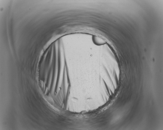 X0000079581525200612221418