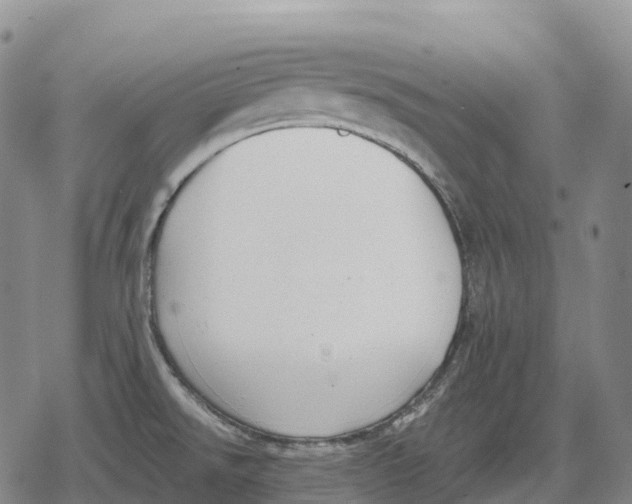 X0000079581526200612221418