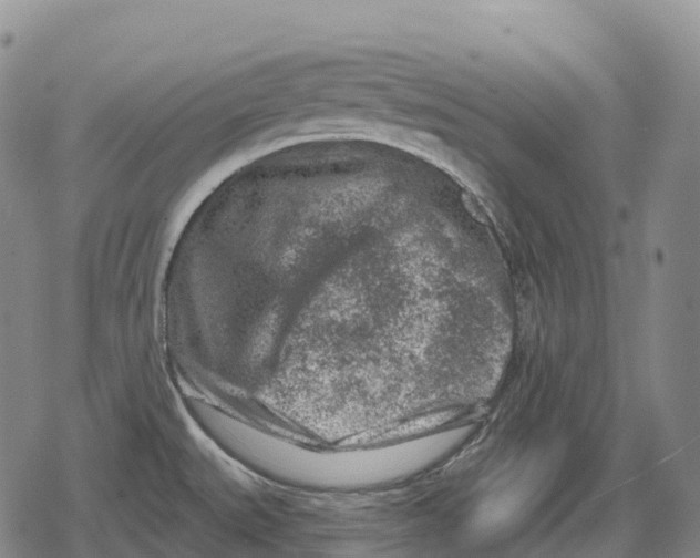 X0000079581527200612221418