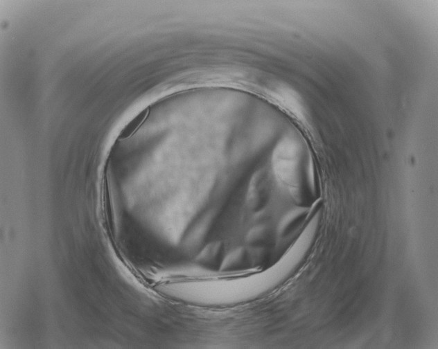 X0000079581528200612221418