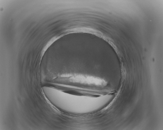 X0000079581529200612221418