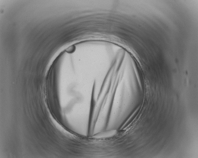 X0000079581531200612221418