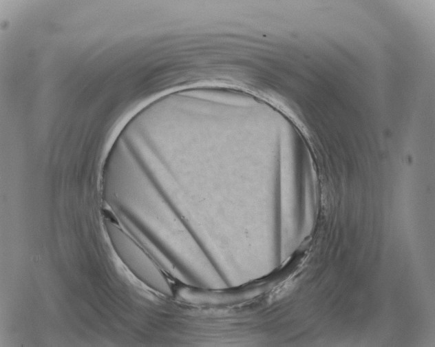 X0000079581532200612221418