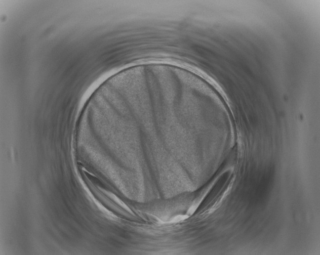 X0000079581533200612221418