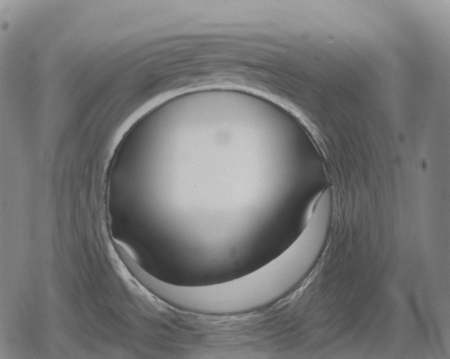 X0000079581534200612221418