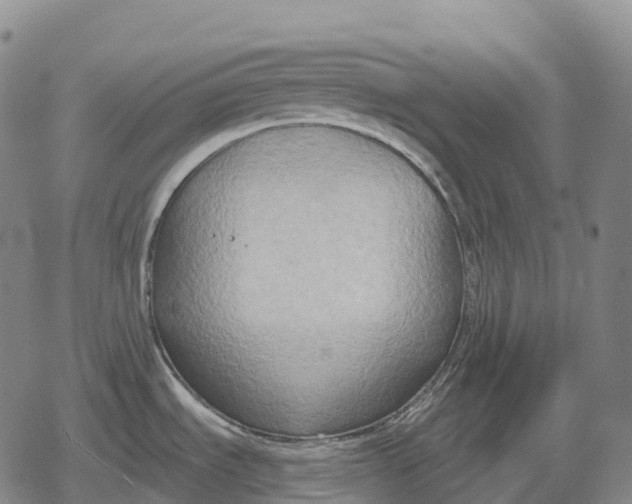 X0000079581535200612221418