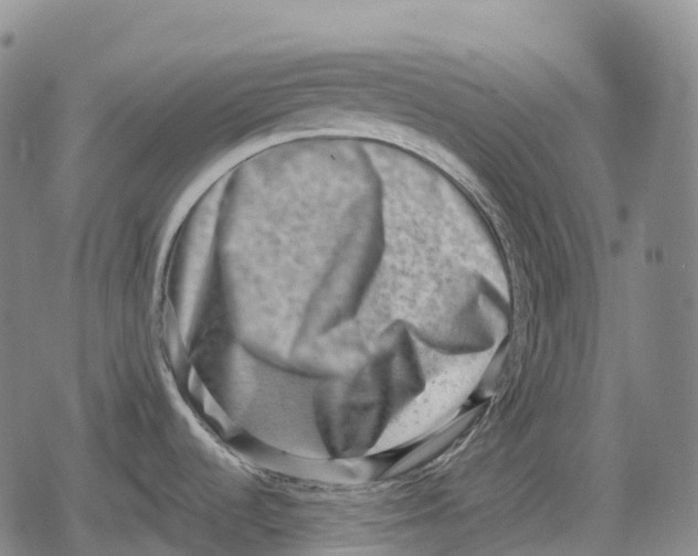 X0000079581536200612221418