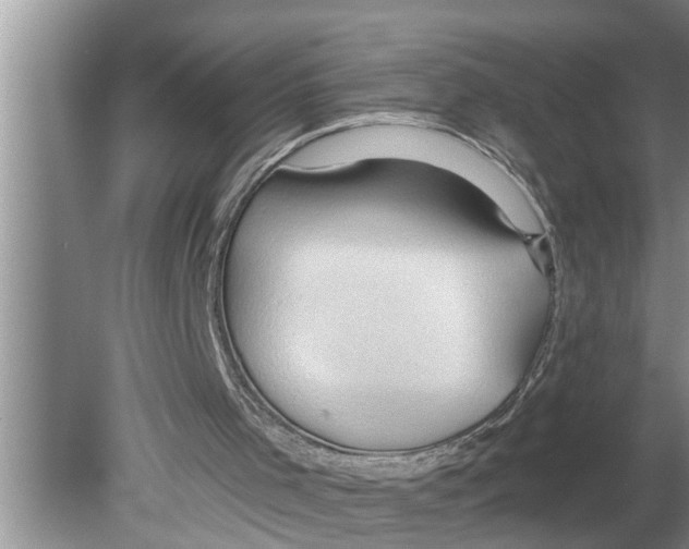 X0000079580001200612301419