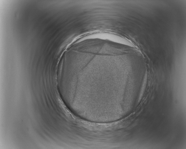 X0000079580002200612301419