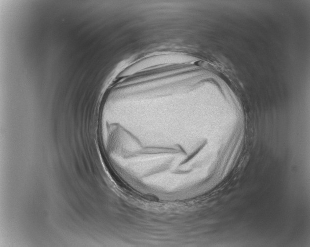 X0000079580003200612301419