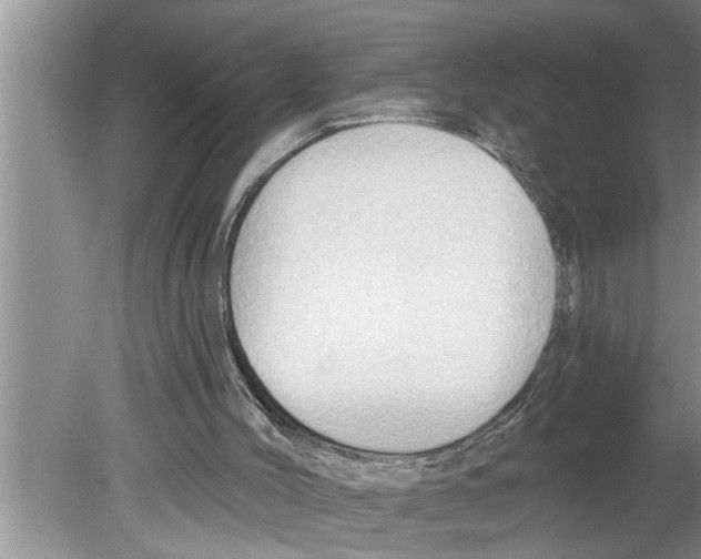 X0000079580004200612301419