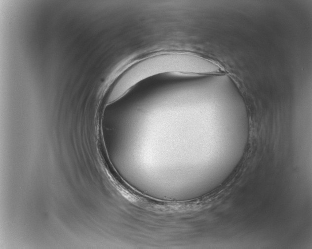 X0000079580005200612301419