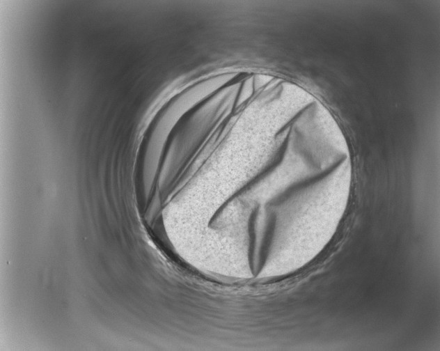 X0000079580007200612301419