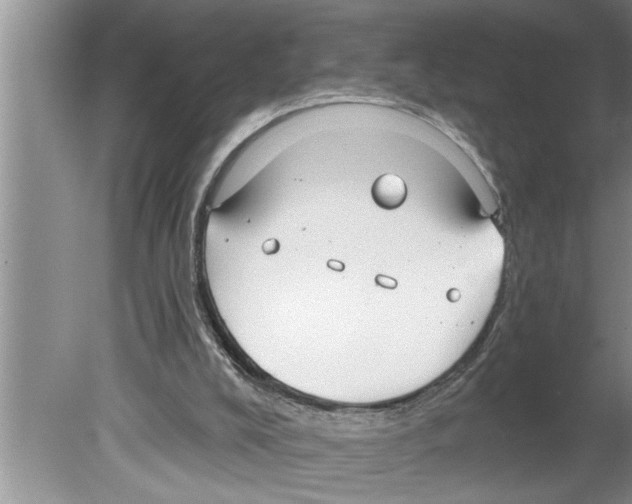 X0000079580008200612301418