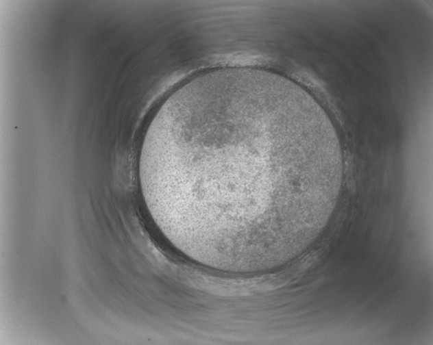 X0000079580012200612301418