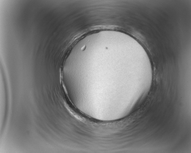 X0000079580013200612301418