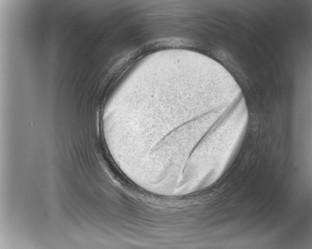 X0000079580014200612301418