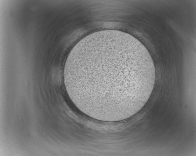 X0000079580016200612301418