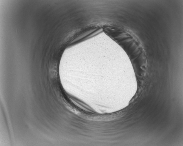 X0000079580017200612301418