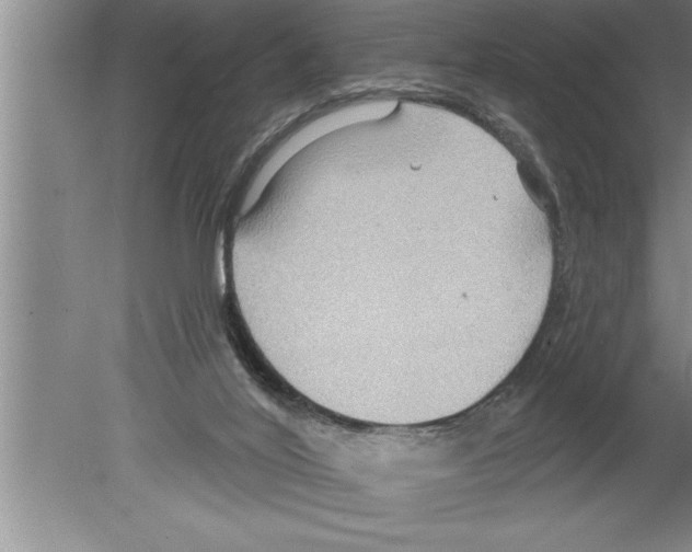 X0000079580020200612301418