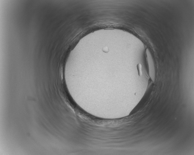 X0000079580021200612301418